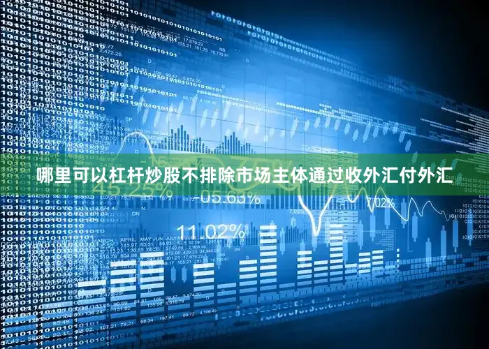 哪里可以杠杆炒股不排除市场主体通过收外汇付外汇