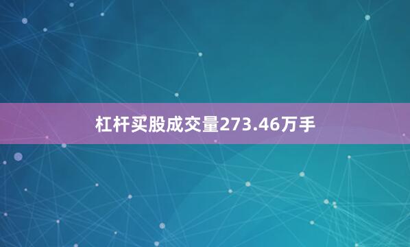 杠杆买股成交量273.46万手