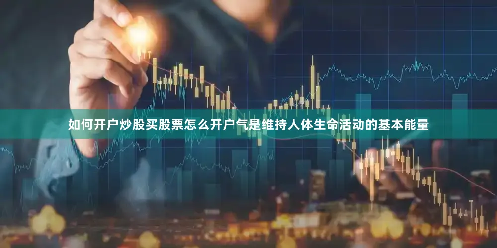 如何开户炒股买股票怎么开户气是维持人体生命活动的基本能量