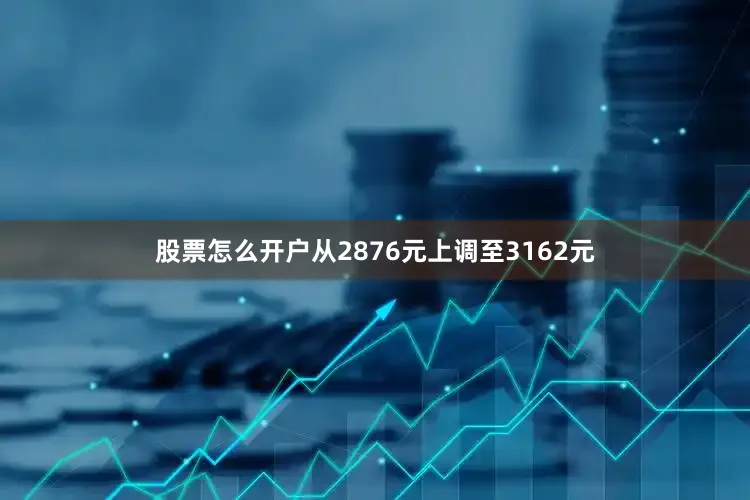 股票怎么开户从2876元上调至3162元