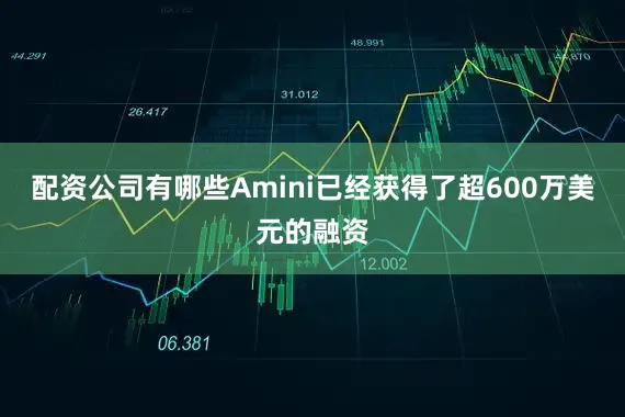 配资公司有哪些Amini已经获得了超600万美元的融资